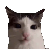 sticker image #15