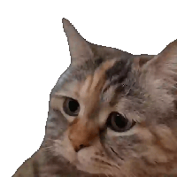 sticker image #18