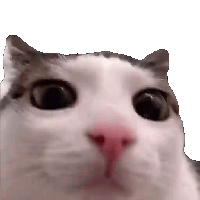 sticker image #19