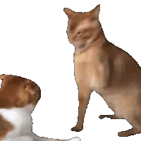 sticker image #21