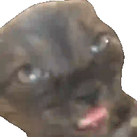sticker image #25