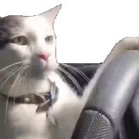 sticker image #26