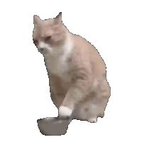 sticker image #27