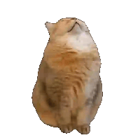 sticker image #29