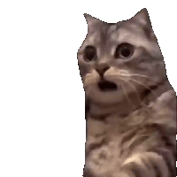 sticker image #30