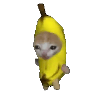 sticker image #4