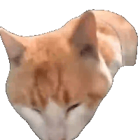 sticker image #1