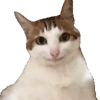 sticker image #11