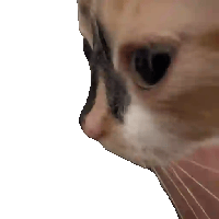 sticker image #13