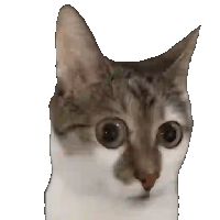 sticker image #14