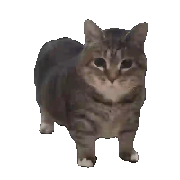 sticker image #15