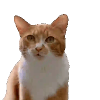 sticker image #16