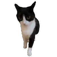 sticker image #18