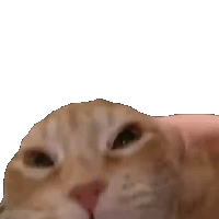 sticker image #19