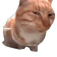 sticker image #2