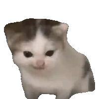 sticker image #20