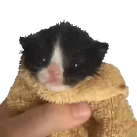 sticker image #25