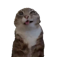 sticker image #26