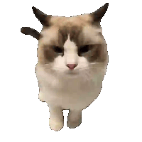 sticker image #27