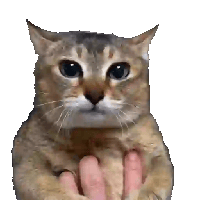 sticker image #3