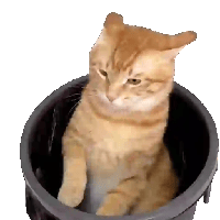 sticker image #4