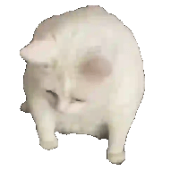 sticker image #5