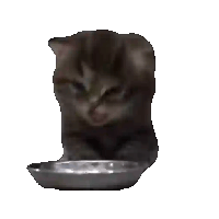 sticker image #6
