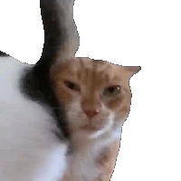sticker image #8