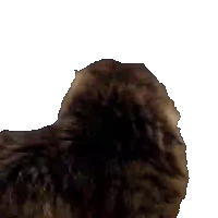 sticker image #9