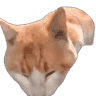 tray_icon
