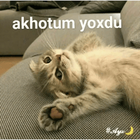 sticker image #18
