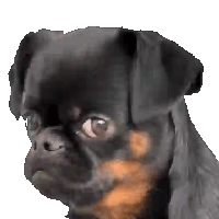 sticker image #10