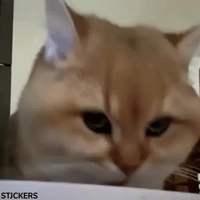 sticker image #16