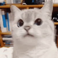 sticker image #25