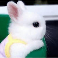 sticker image #20