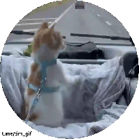 sticker image #10