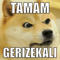 sticker image #17