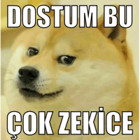 sticker image #18