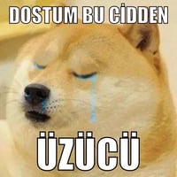 sticker image #19