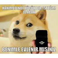 sticker image #24