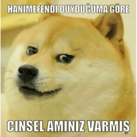 sticker image #26