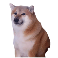 sticker image #6