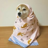 sticker image #19