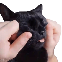 sticker image #19