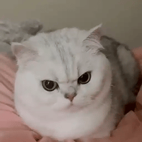 sticker image #22