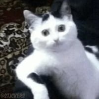 sticker image #28