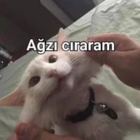 sticker image #10