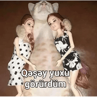 sticker image #11