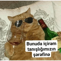 sticker image #13