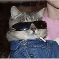 sticker image #17